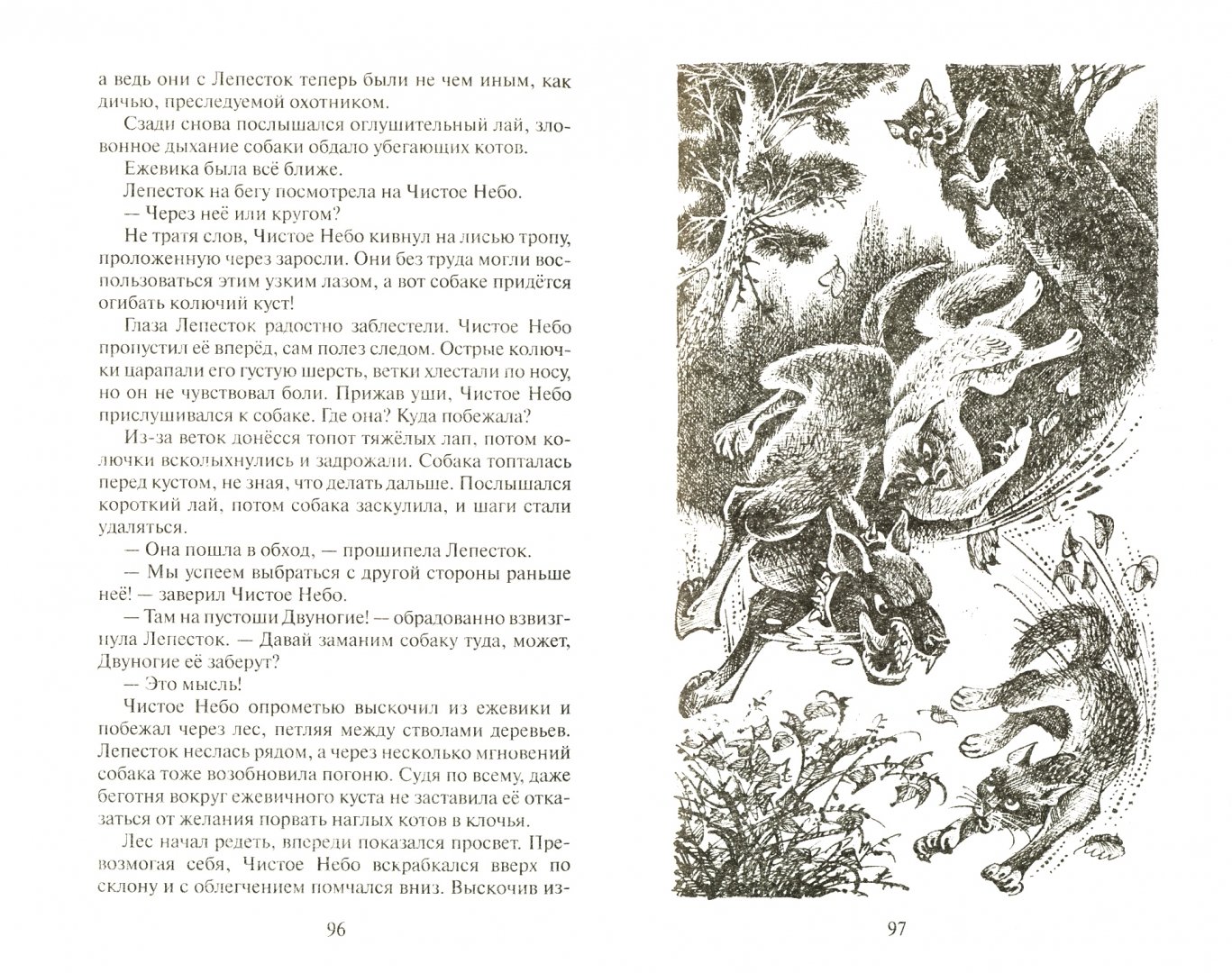 Иллюстрация 1 из 29 для Первая битва - Эрин Хантер | Лабиринт - книги. Источник: Лабиринт