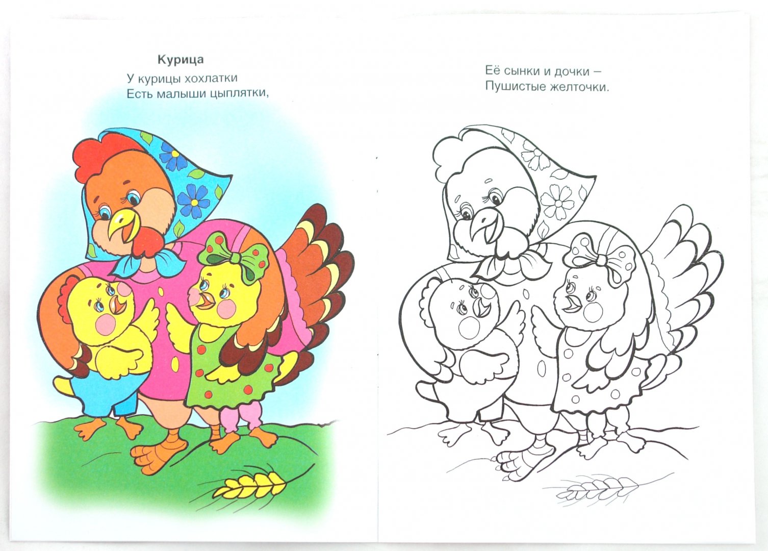 Иллюстрация 1 из 31 для Бабушкин двор - Коваль, Скребцова, Лопатина | Лабиринт - книги. Источник: Лабиринт
