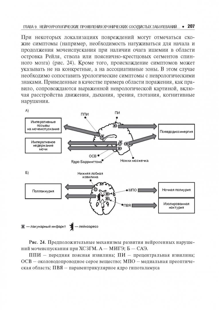 Иллюстрация 9 из 18 для Хронические сосудистые заболевания головного мозга - Кадыков, Манвелов, Шахпаронова | Лабиринт - книги. Источник: Лабиринт