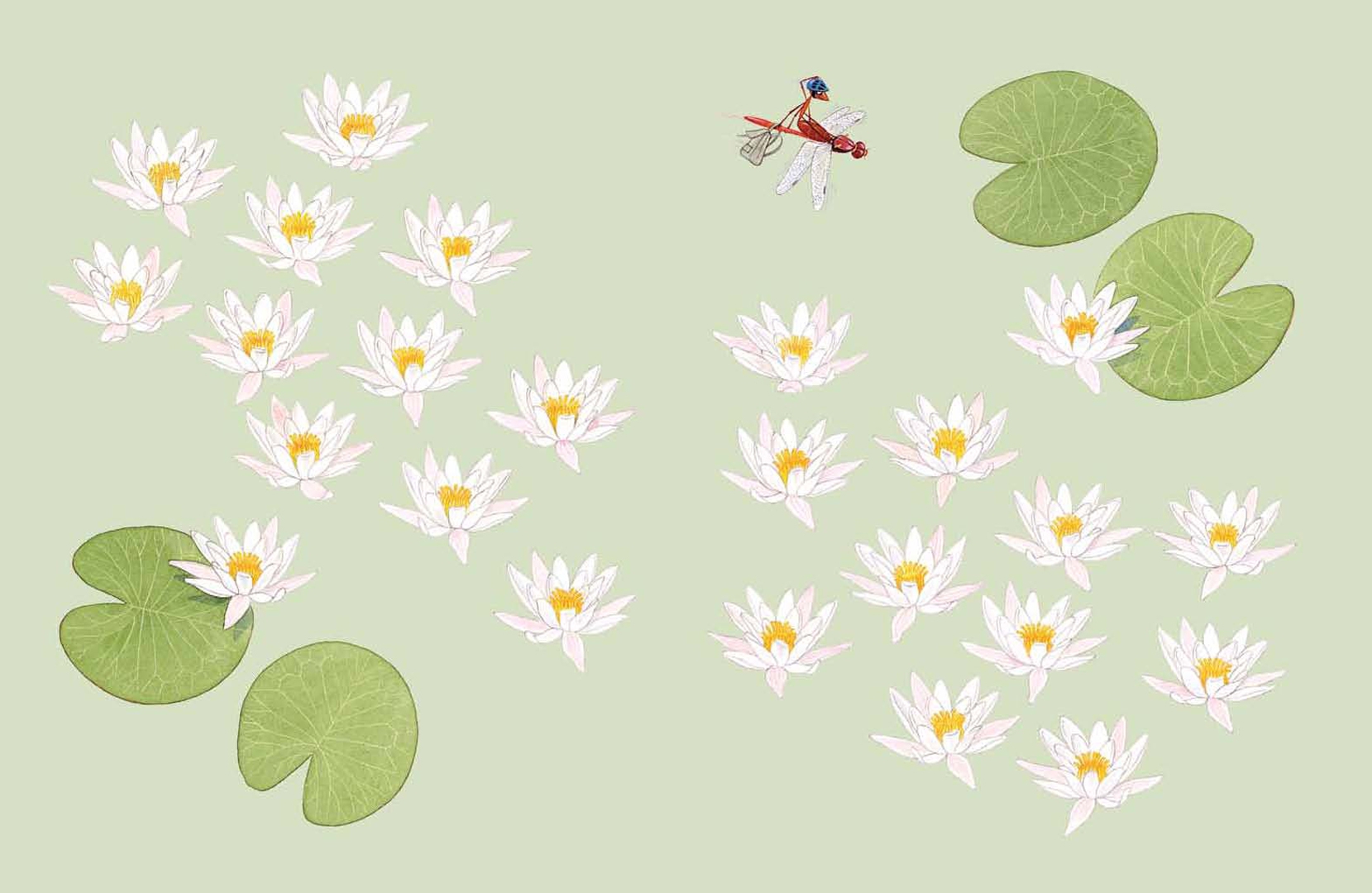 Иллюстрация 20 из 54 для Софи в мире цветов - Стефан Каста | Лабиринт - книги. Источник: Лабиринт
