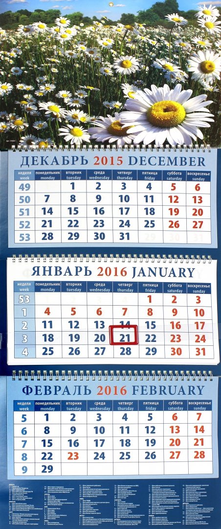 Иллюстрация 1 из 5 для Календарь квартальный на 2016 год "Ромашки" (14663) | Лабиринт - сувениры. Источник: Лабиринт