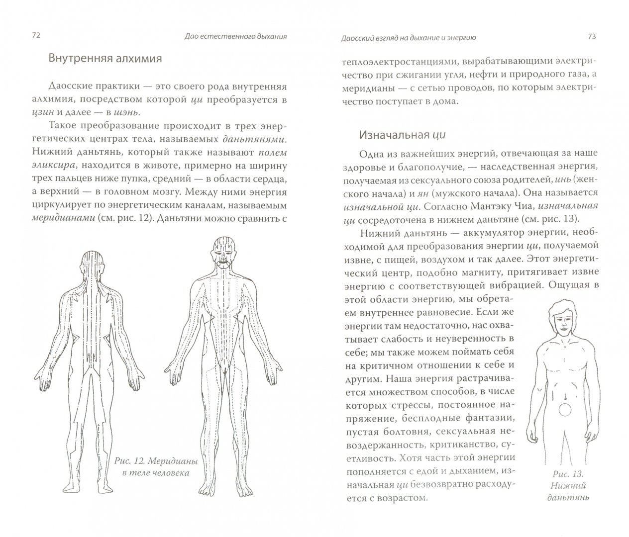 Иллюстрация 1 из 13 для Дао естественного дыхания: истинный путь к здоровью и долголетию - Деннис Льюис | Лабиринт - книги. Источник: Лабиринт