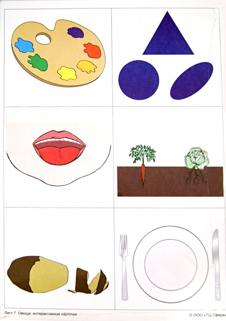 Иллюстрация 1 из 13 для Овощи: демонстрационные интерактивные карточки по развитию речи - Елена Косинова | Лабиринт - книги. Источник: Лабиринт