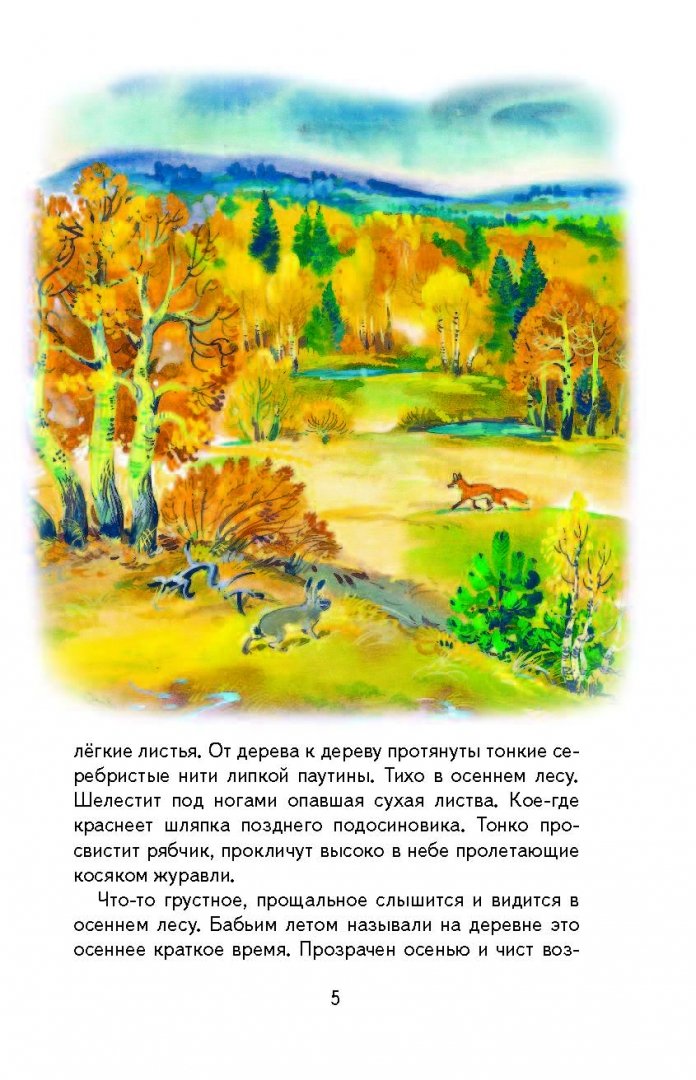 Иллюстрация 6 из 26 для Русский лес - Иван Соколов-Микитов | Лабиринт - книги. Источник: Лабиринт