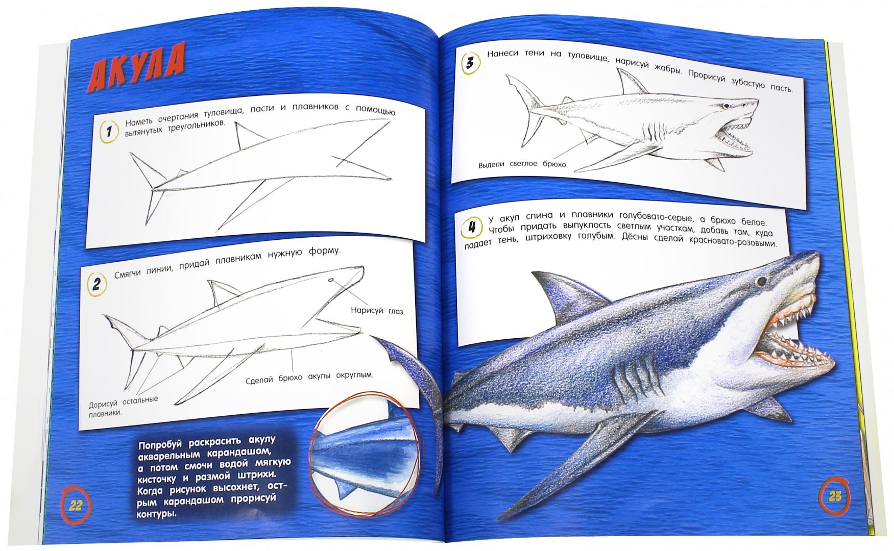 Иллюстрация 3 из 24 для Как нарисовать животных - Сьюзи Ходж | Лабиринт - книги. Источник: Лабиринт