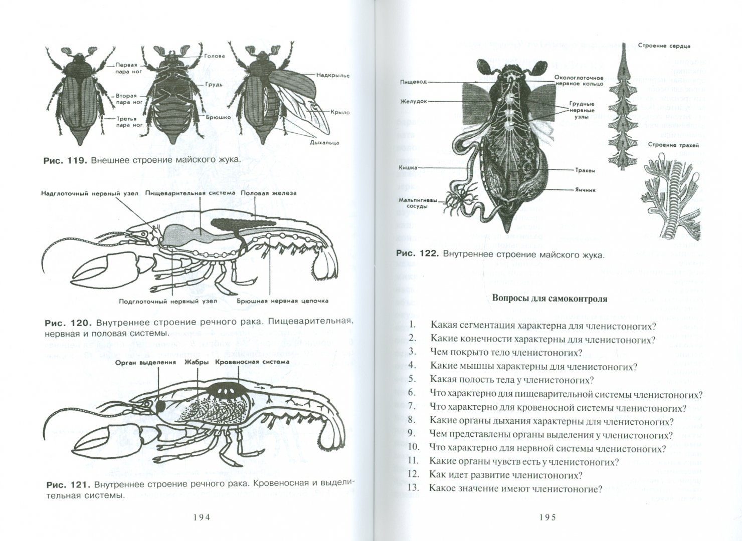 Иллюстрация 1 из 7 для Биология - Гринева, Чебышев | Лабиринт - книги. Источник: Лабиринт