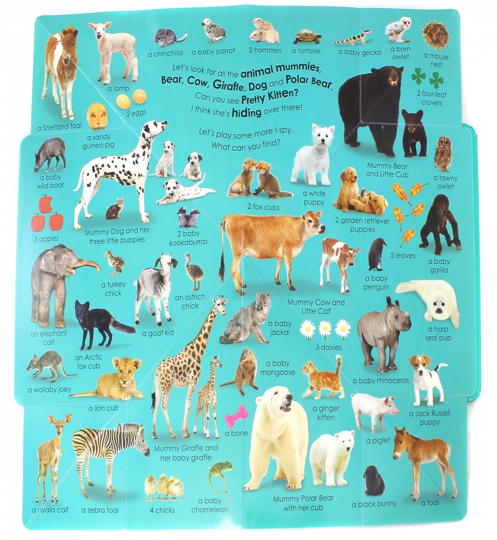 Иллюстрация 1 из 16 для Baby Animals. Little Hide and Seek | Лабиринт - книги. Источник: Лабиринт