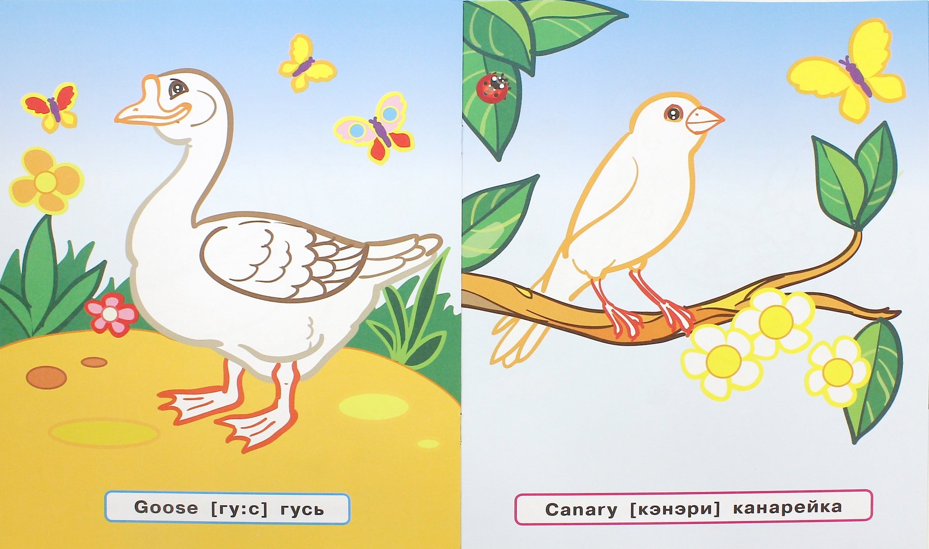 Иллюстрация 1 из 7 для Птицы - Татьяна Ванагель | Лабиринт - книги. Источник: Лабиринт