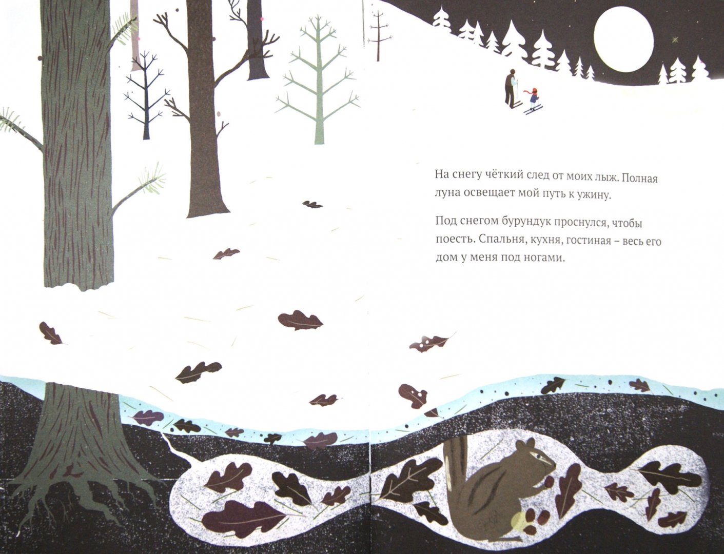 Иллюстрация 1 из 45 для На снегу и под снегом - Кейт Месснер | Лабиринт - книги. Источник: Лабиринт