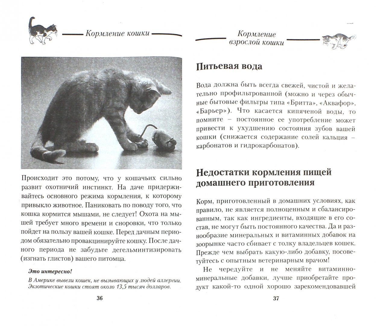 Иллюстрация 1 из 5 для Кормление кошки. Все, что нужно знать - Зорин, Зорина | Лабиринт - книги. Источник: Лабиринт