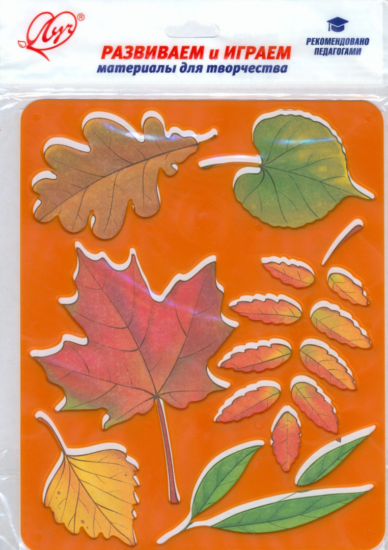 Иллюстрация 1 из 7 для Трафарет пластмассовый Листья деревьев, цвет в ссортименте | Лабиринт - игрушки. Источник: Лабиринт