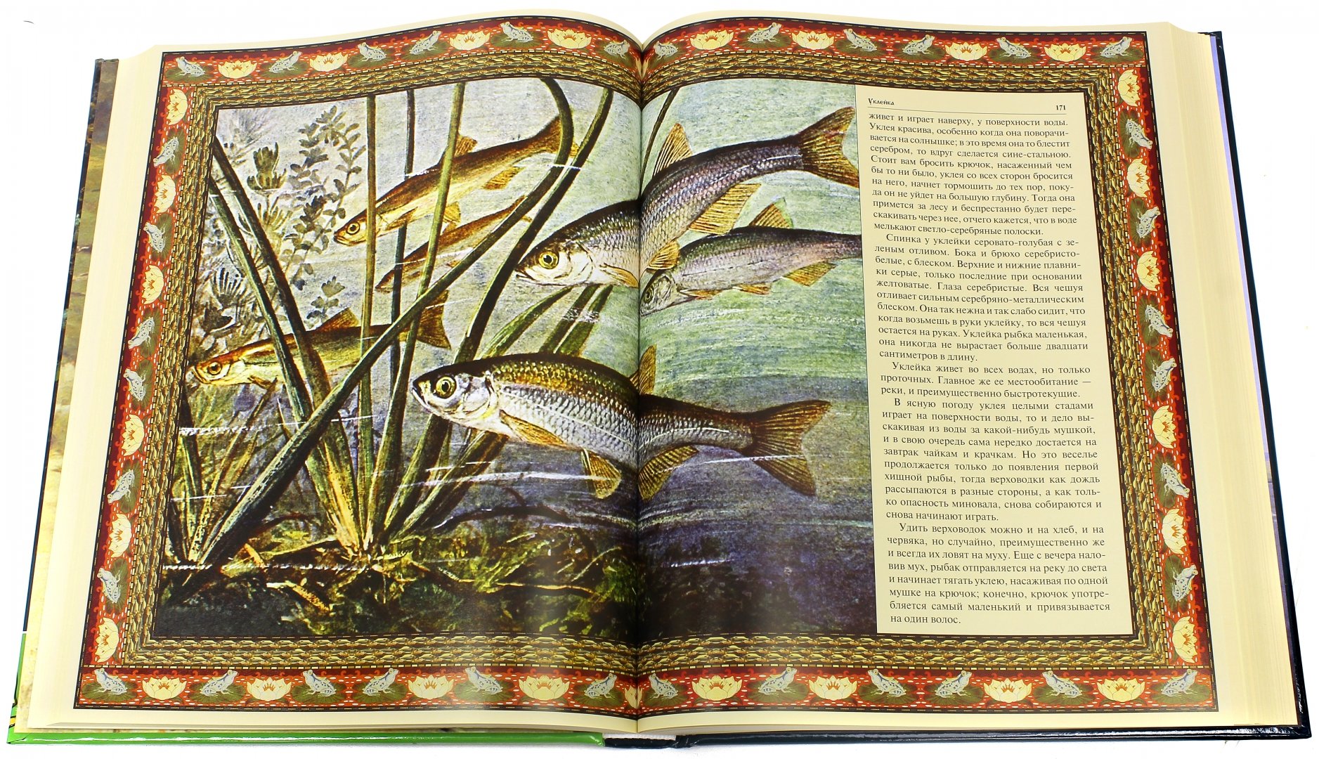 Иллюстрация 1 из 8 для Русская рыбалка | Лабиринт - книги. Источник: Лабиринт
