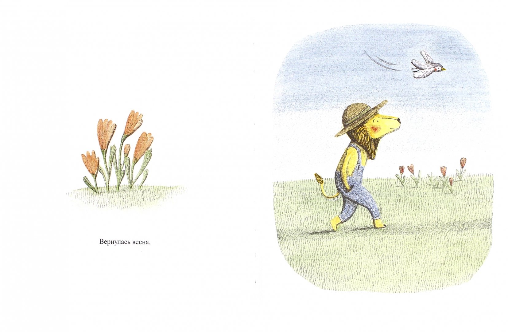 Иллюстрация 1 из 33 для Лев и птичка - Марианна Дюбюк | Лабиринт - книги. Источник: Лабиринт
