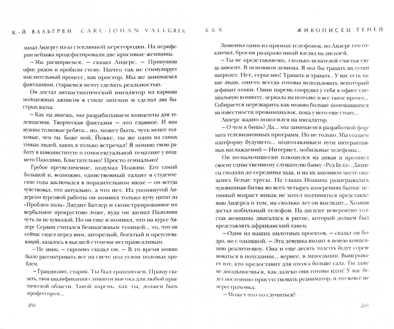 Иллюстрация 1 из 2 для Живописец теней - Карл-Йоганн Вальгрен | Лабиринт - книги. Источник: Лабиринт