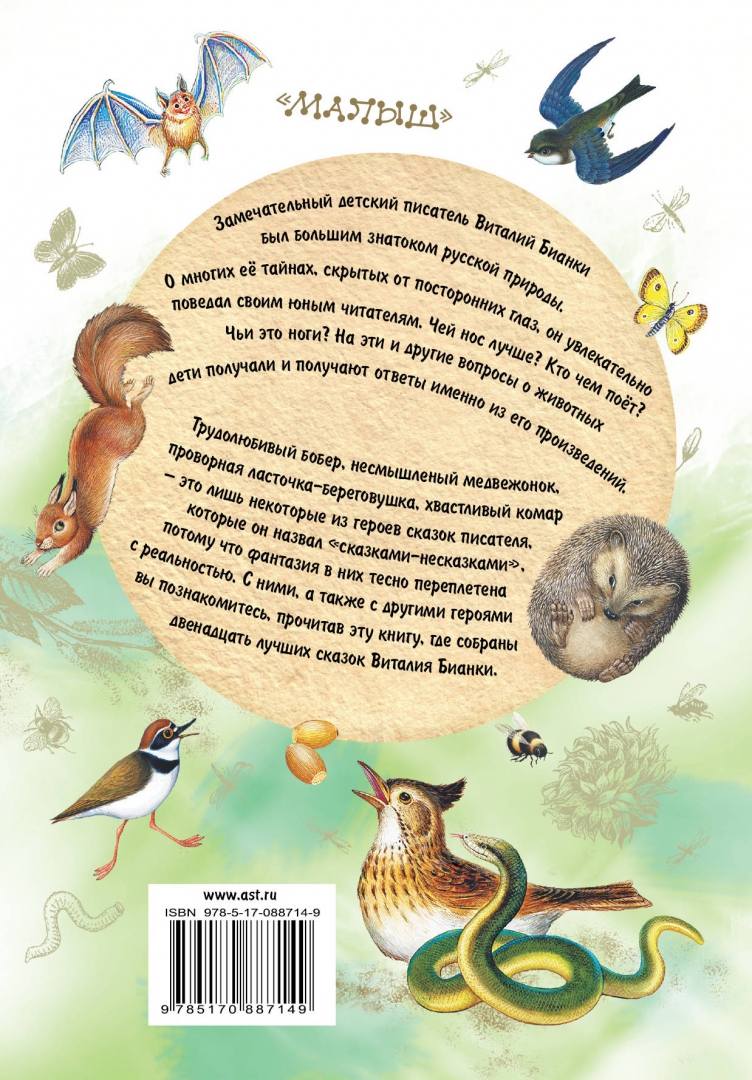 Иллюстрация 1 из 5 для Сказки о животных - Виталий Бианки | Лабиринт - книги. Источник: Лабиринт