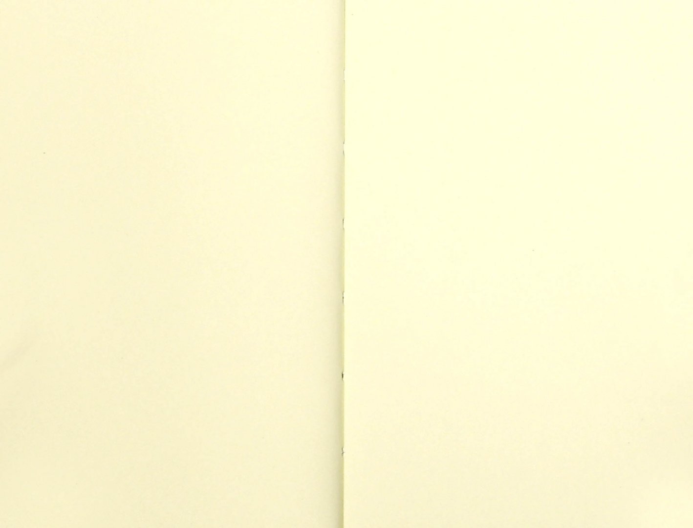 Иллюстрация 1 из 5 для Записная книжка "Салатовый" (срез синий, 90х142 мм, 80 листов) (42599) | Лабиринт - канцтовы. Источник: Лабиринт