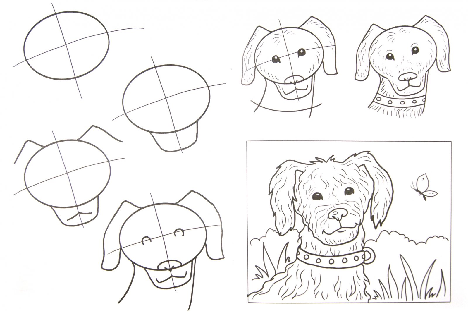 Рисуем собаку с детьми. Собака рисунок карандашом. Этапы рисования собаки для дошкольников. Поэтапное рисование собаки. Пошаговый рисунок собаки.