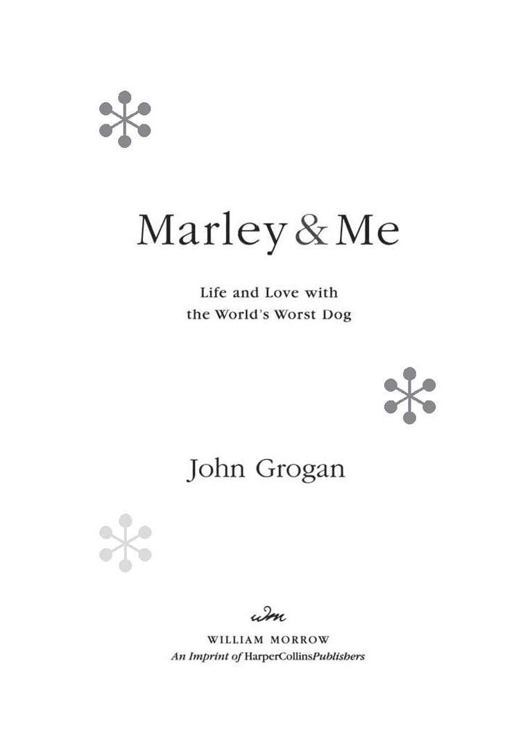 Иллюстрация 12 из 30 для Марли и я. Удивительная история о любви и о жизни с самой ужасной в мире собакой - Джон Грогэн | Лабиринт - книги. Источник: Лабиринт