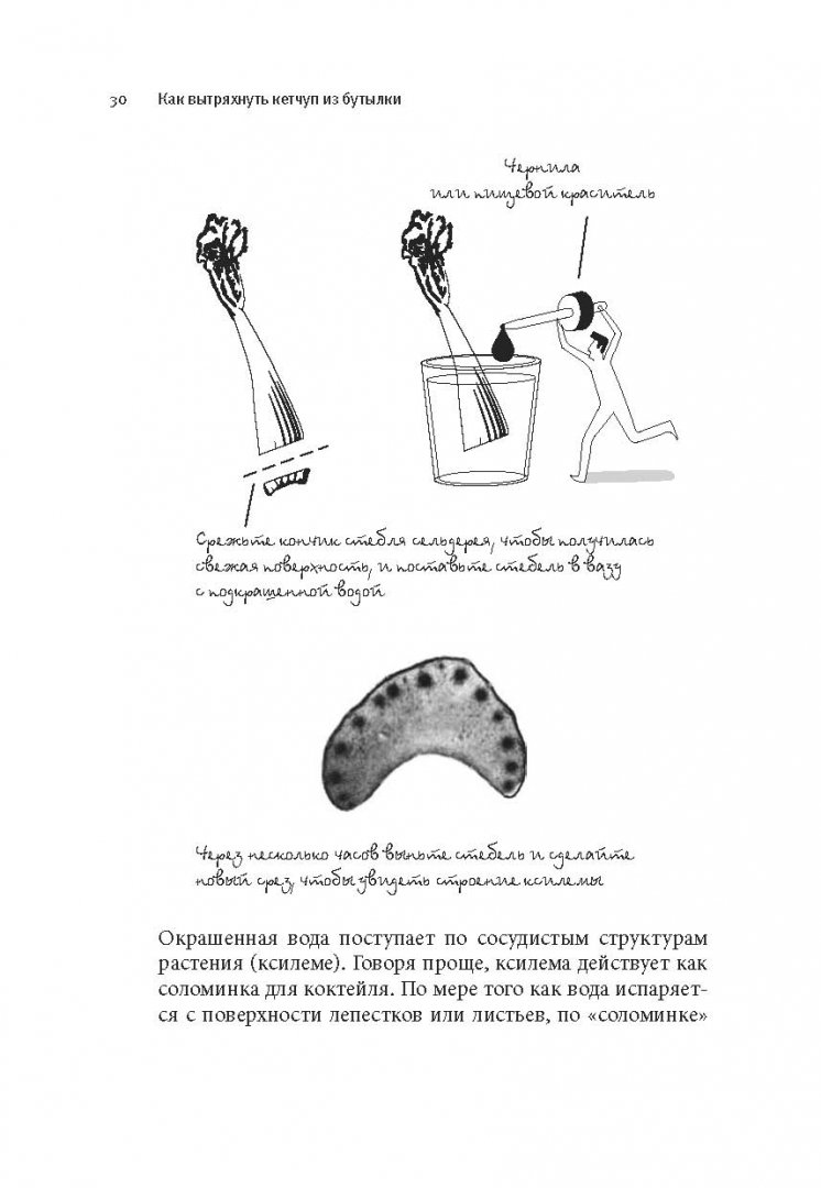 Иллюстрация 19 из 34 для Как вытряхнуть кетчуп из бутылки и еще 79 невероятных экспериментов в домашних условиях - Мик О`Хэйр | Лабиринт - книги. Источник: Лабиринт