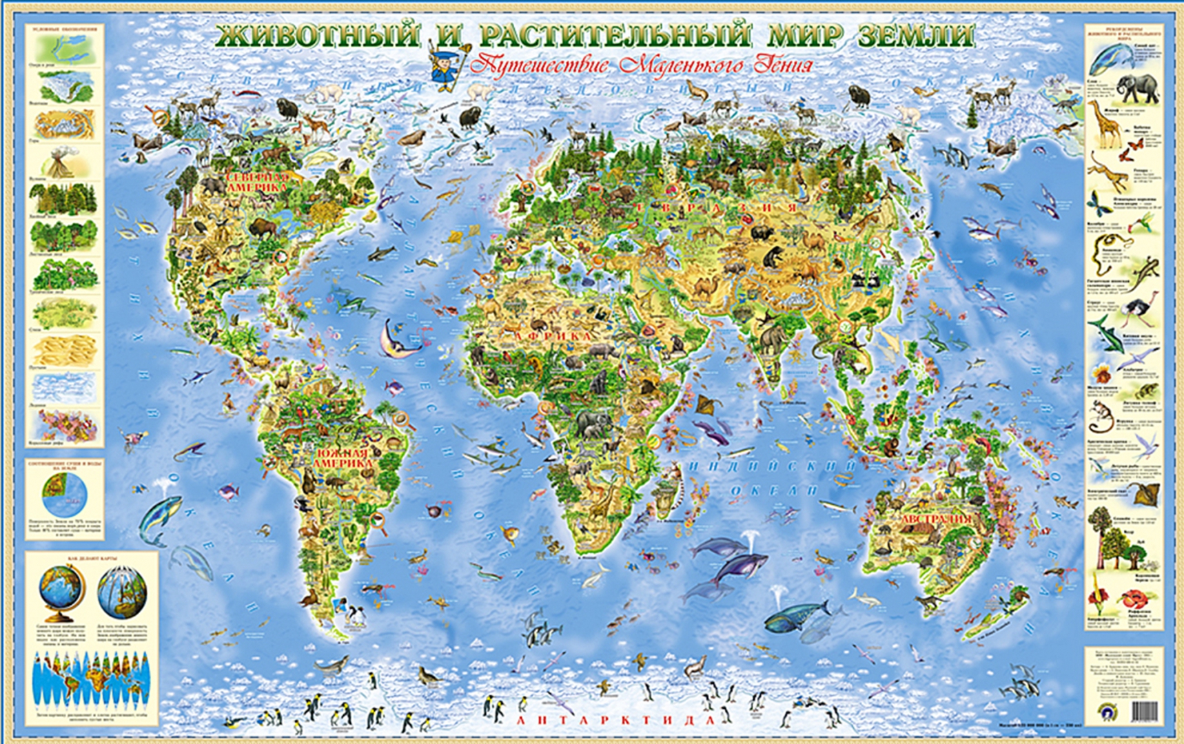 Иллюстрация 1 из 36 для Животный и растительный мир Земли. Детская карта | Лабиринт - книги. Источник: Лабиринт