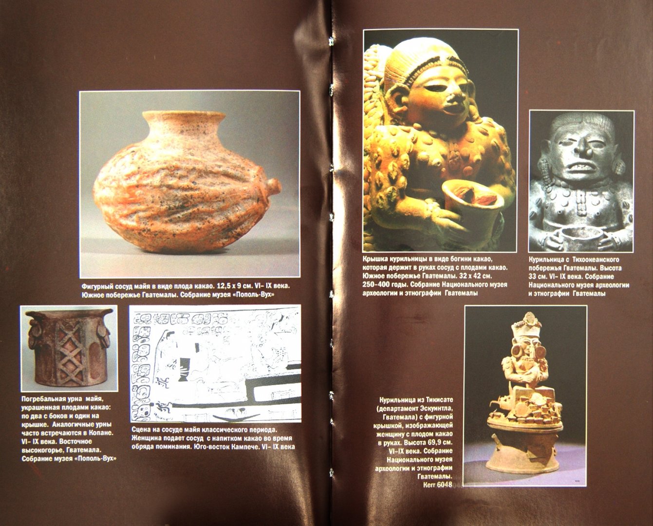 Иллюстрация 1 из 5 для Взбивая пену шоколада: Какао в Древней Америке - Ершова, Беляев | Лабиринт - книги. Источник: Лабиринт