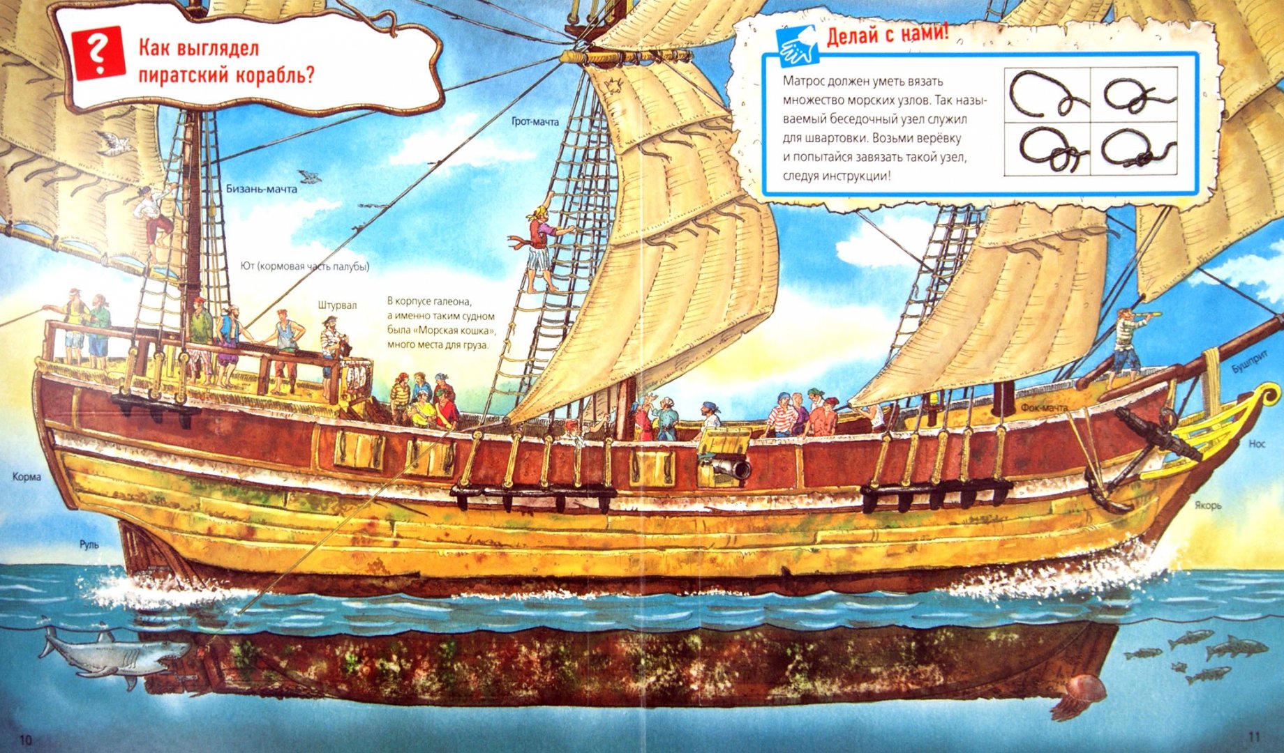 Иллюстрация 1 из 18 для Пираты | Лабиринт - книги. Источник: Лабиринт