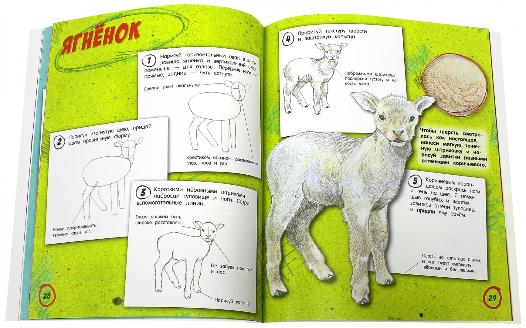 Иллюстрация 4 из 12 для Как нарисовать малышей от хвоста и до ушей - Лайза Риган | Лабиринт - книги. Источник: Лабиринт