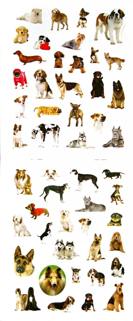 Иллюстрация 1 из 14 для 100 наклеек. Любимые собаки | Лабиринт - книги. Источник: Лабиринт
