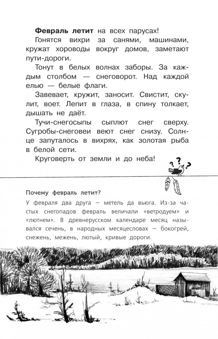 Иллюстрация 10 из 24 для Лесные тайнички - Николай Сладков | Лабиринт - книги. Источник: Лабиринт