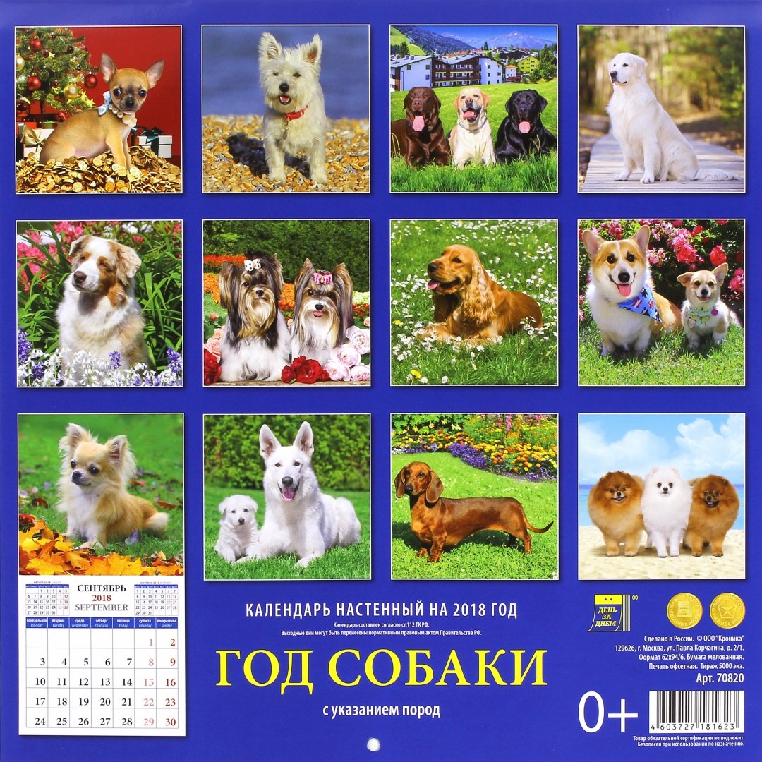 Иллюстрация 1 из 17 для Календарь на 2018 год "Год собаки" (70820) | Лабиринт - сувениры. Источник: Лабиринт