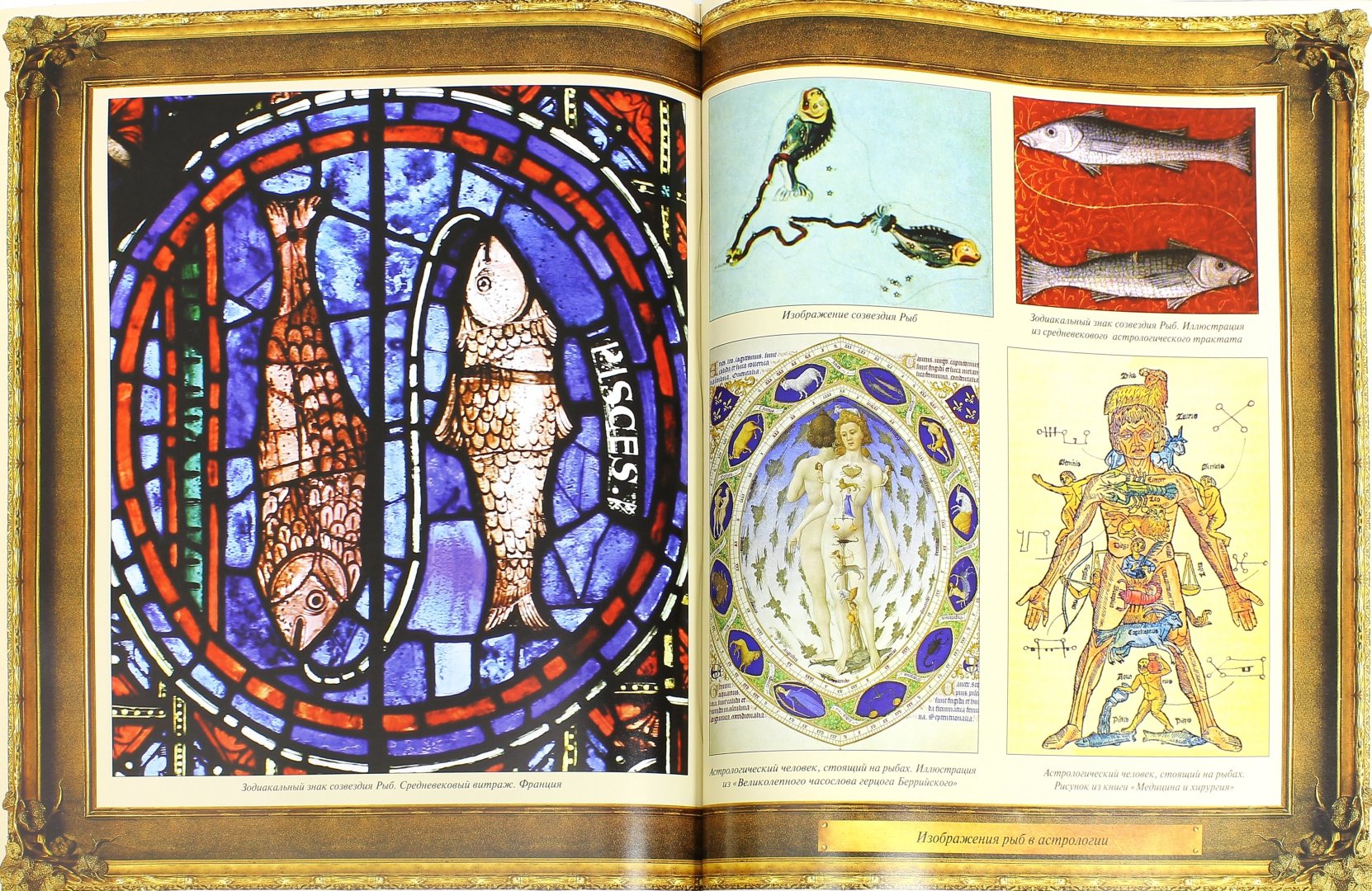 Иллюстрация 2 из 8 для Русская рыбалка | Лабиринт - книги. Источник: Лабиринт