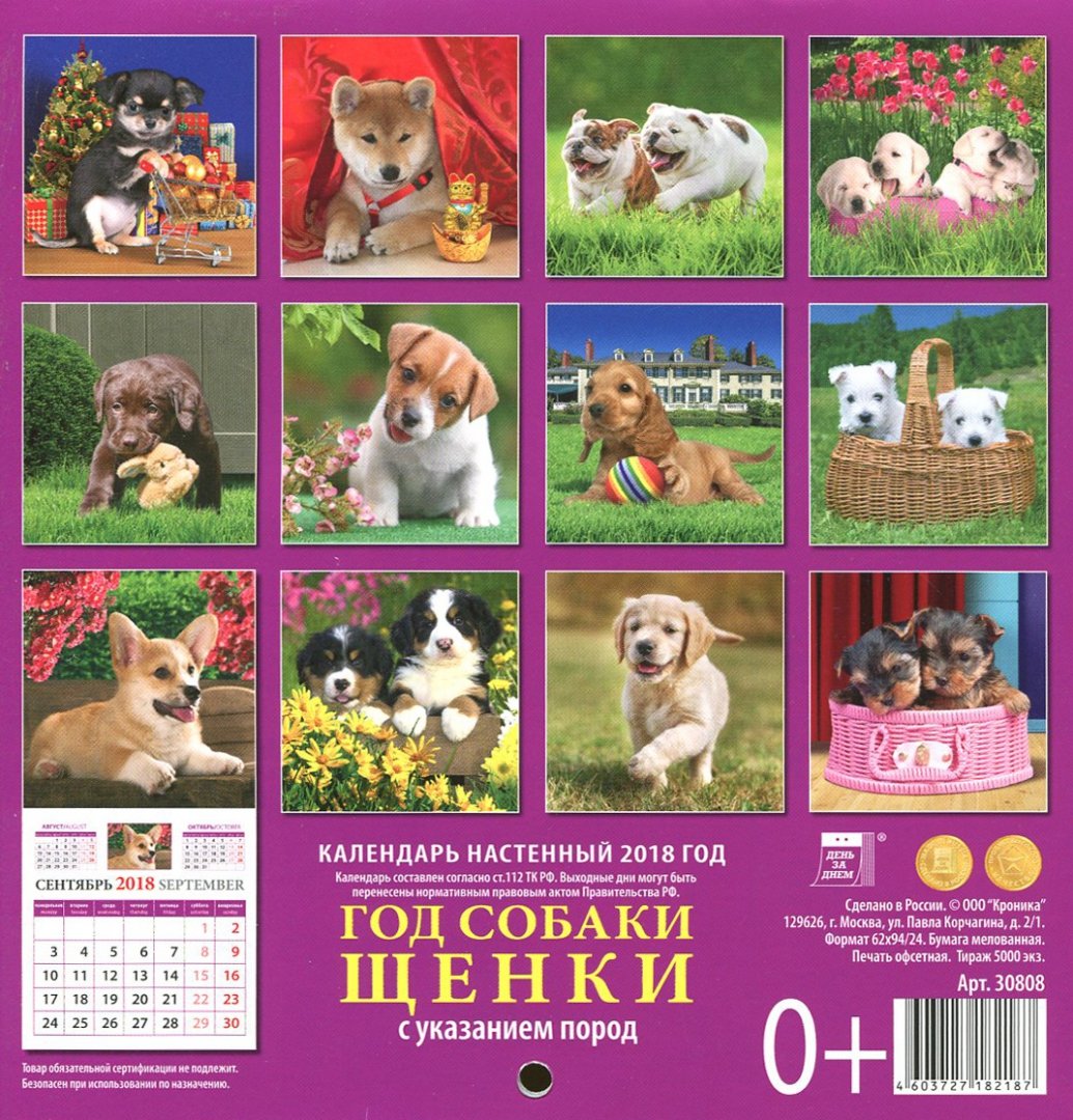 Иллюстрация 1 из 12 для Календарь настенный на 2018 год "Год собаки. Щенки" (30808) | Лабиринт - сувениры. Источник: Лабиринт