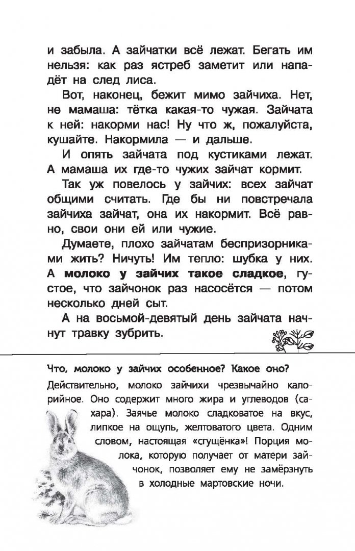 Иллюстрация 8 из 40 для Лесная газета - Виталий Бианки | Лабиринт - книги. Источник: Лабиринт