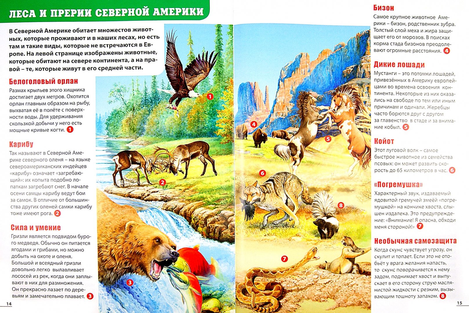 Иллюстрация 1 из 37 для Детский атлас животных - Мариуш Любка | Лабиринт - книги. Источник: Лабиринт