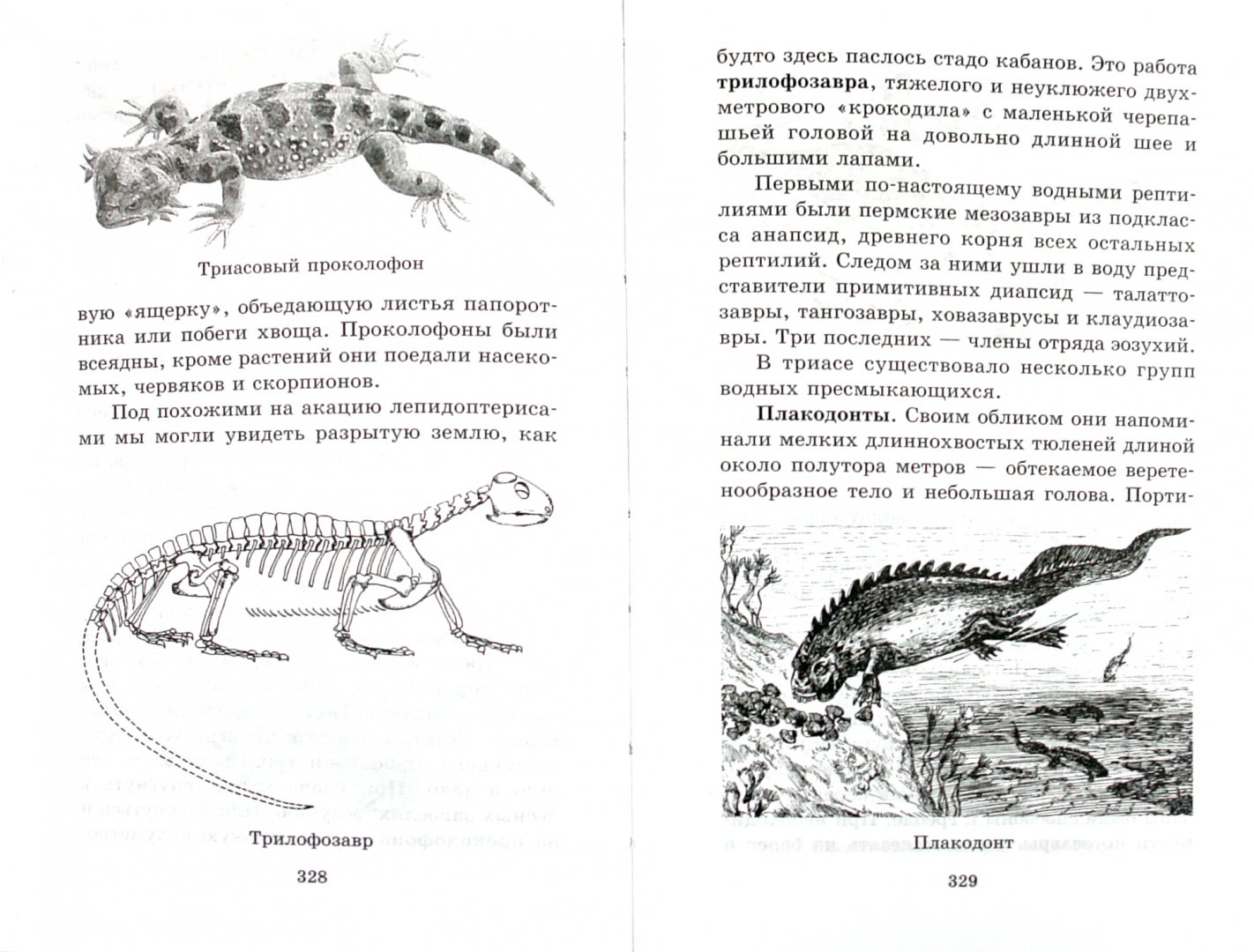 Иллюстрация 1 из 14 для Все о динозаврах, современных животных и растениях - Целлариус, Ляхов, Багрова | Лабиринт - книги. Источник: Лабиринт