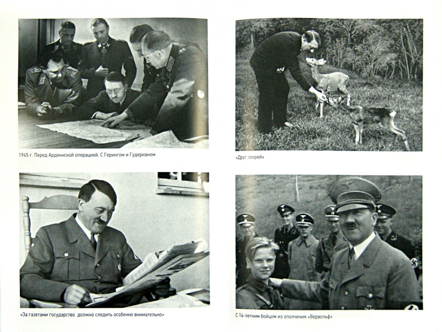 Иллюстрация 1 из 8 для Адольф Гитлер. Фюрер, преступник, личность - Борис Соколов | Лабиринт - книги. Источник: Лабиринт
