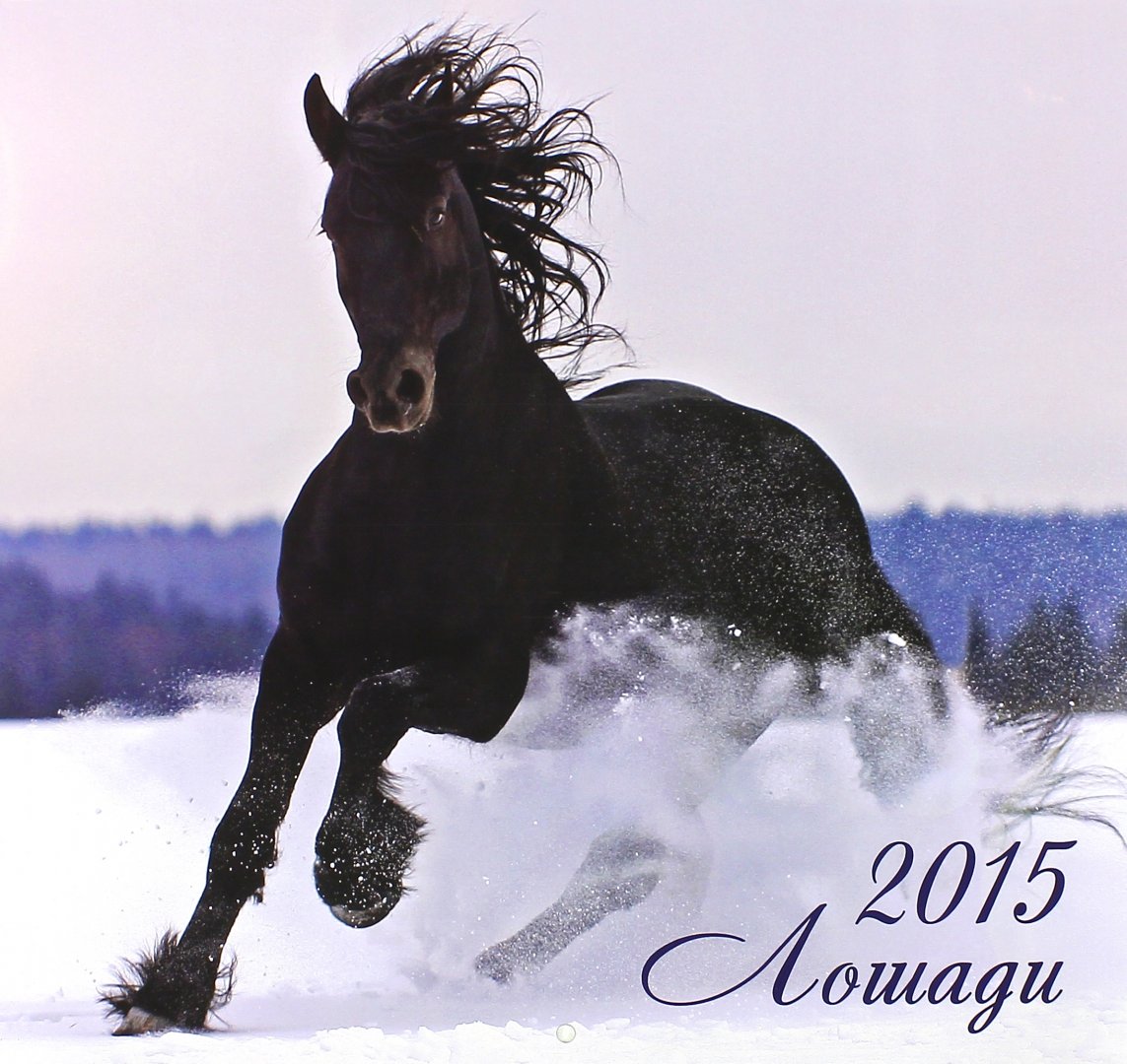 Иллюстрация 1 из 6 для Календарь 2015 "Лошади" | Лабиринт - сувениры. Источник: Лабиринт