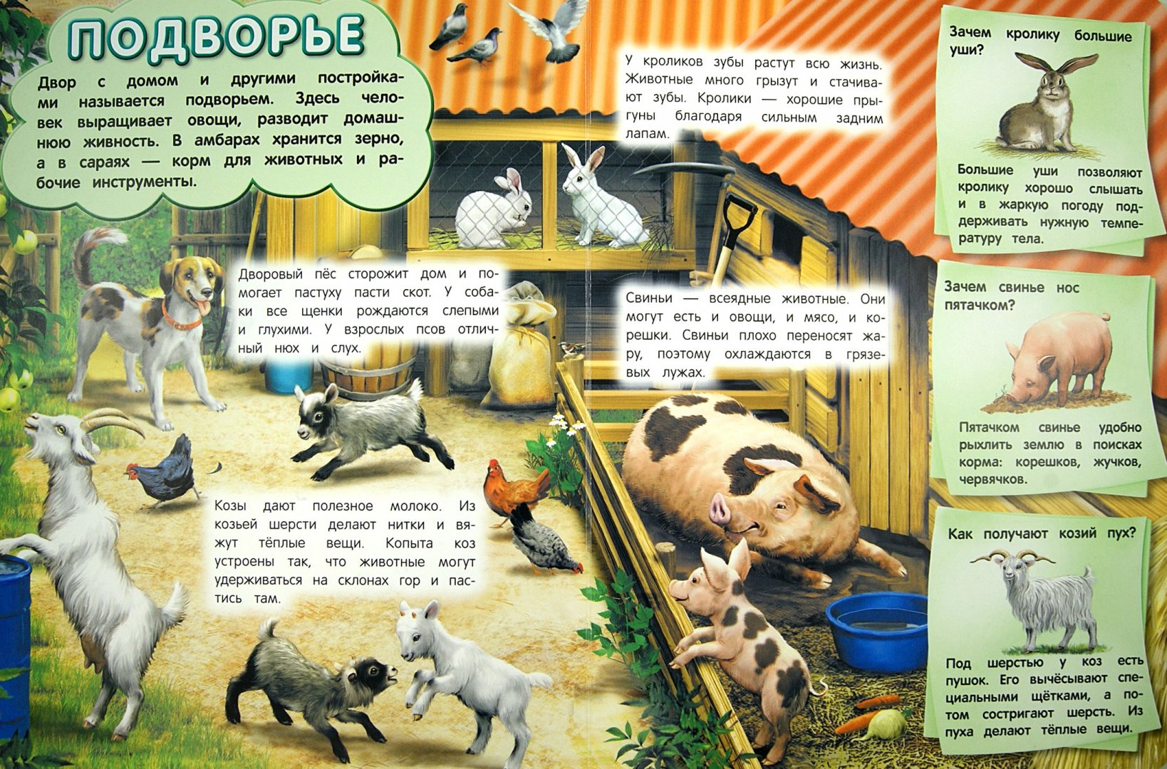 Иллюстрация 1 из 3 для Домашние животные - Дарья Тарасик | Лабиринт - книги. Источник: Лабиринт