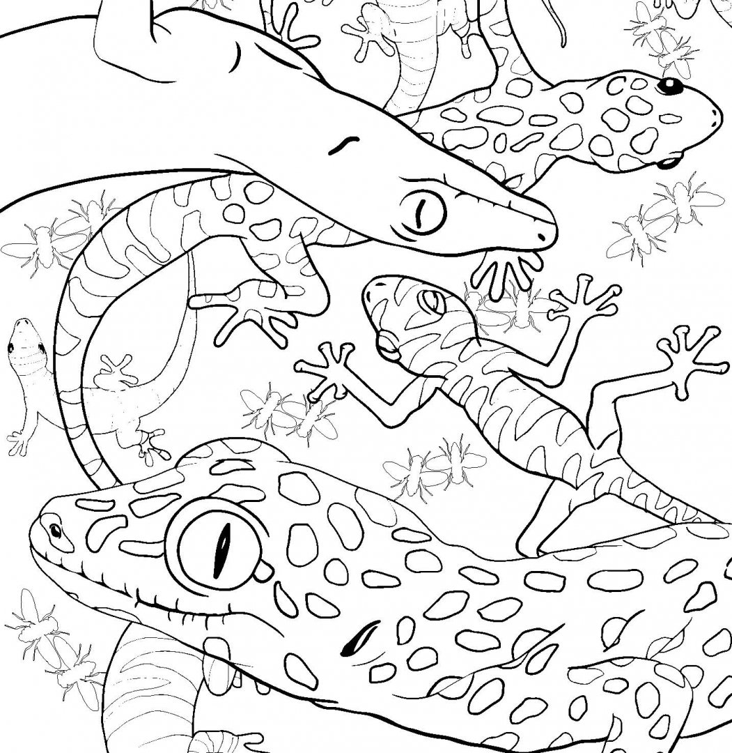 Иллюстрация 9 из 25 для Удивительные животные. Раскраска-антистресс для творчества и вдохновения | Лабиринт - книги. Источник: Лабиринт