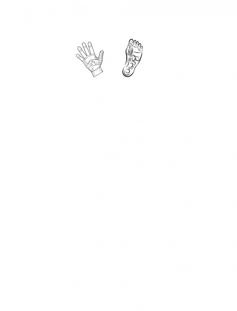 Иллюстрация 1 из 29 для Массаж энергетических точек рук и ног. Практическое руководство - Жоэль Питерс | Лабиринт - книги. Источник: Лабиринт