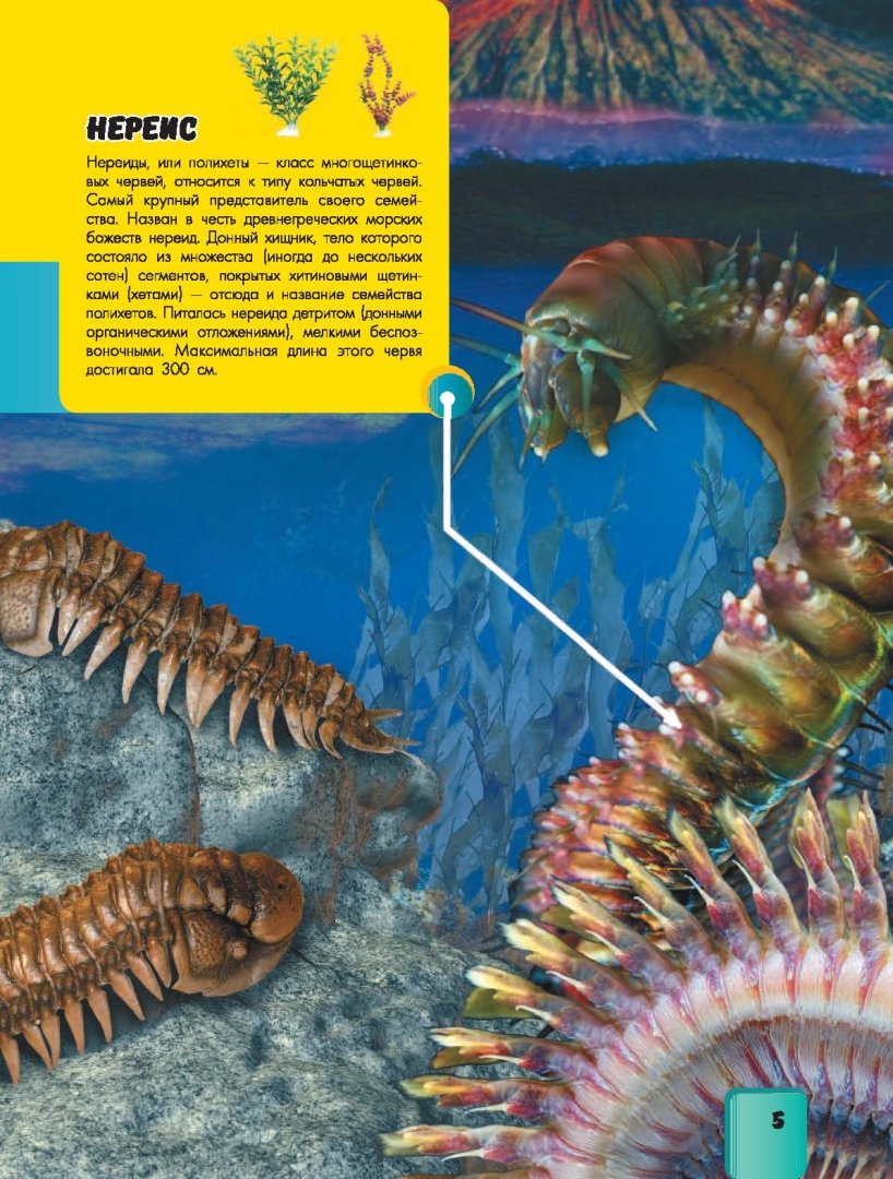 Иллюстрация 5 из 26 для Подводный мир - Ликсо, Ригарович | Лабиринт - книги. Источник: Лабиринт