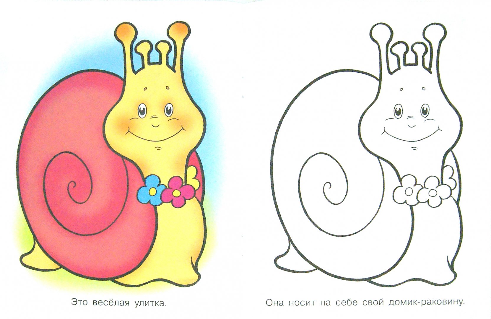 Иллюстрация 1 из 26 для Раскраска для малышей: Букашки. Божья коровка | Лабиринт - книги. Источник: Лабиринт