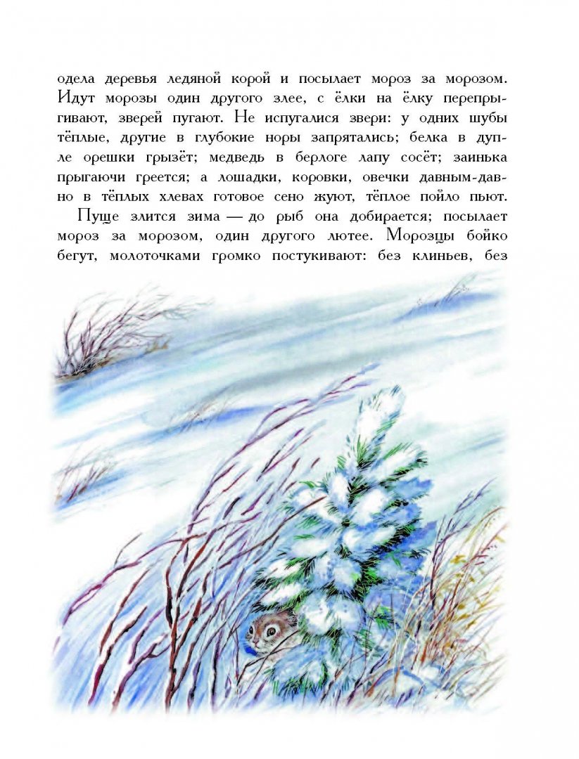 Иллюстрация 6 из 26 для Сказки любимых писателей - Мамин-Сибиряк, Бианки, Ушинский | Лабиринт - книги. Источник: Лабиринт