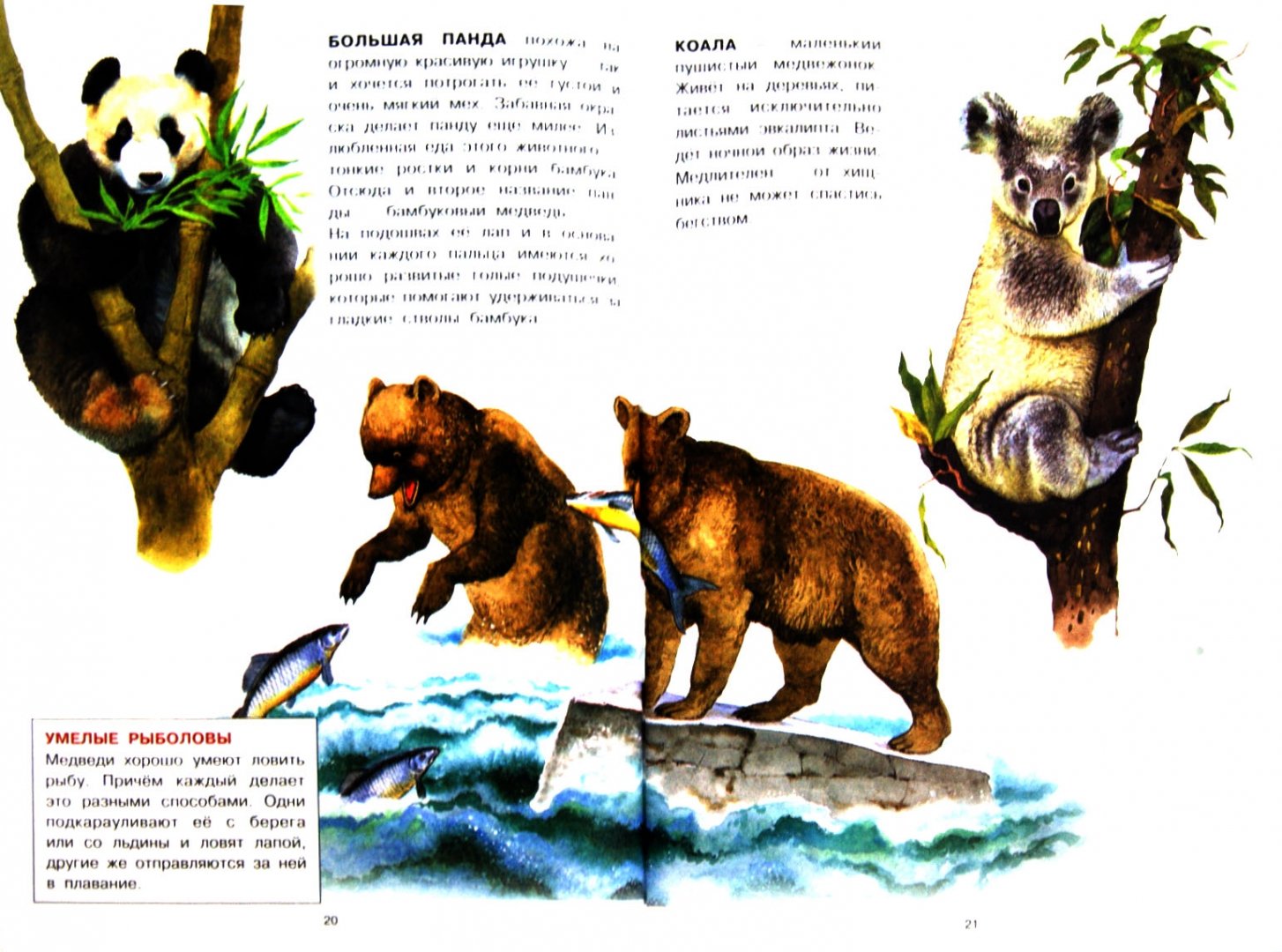 Иллюстрация 1 из 37 для Животные | Лабиринт - книги. Источник: Лабиринт