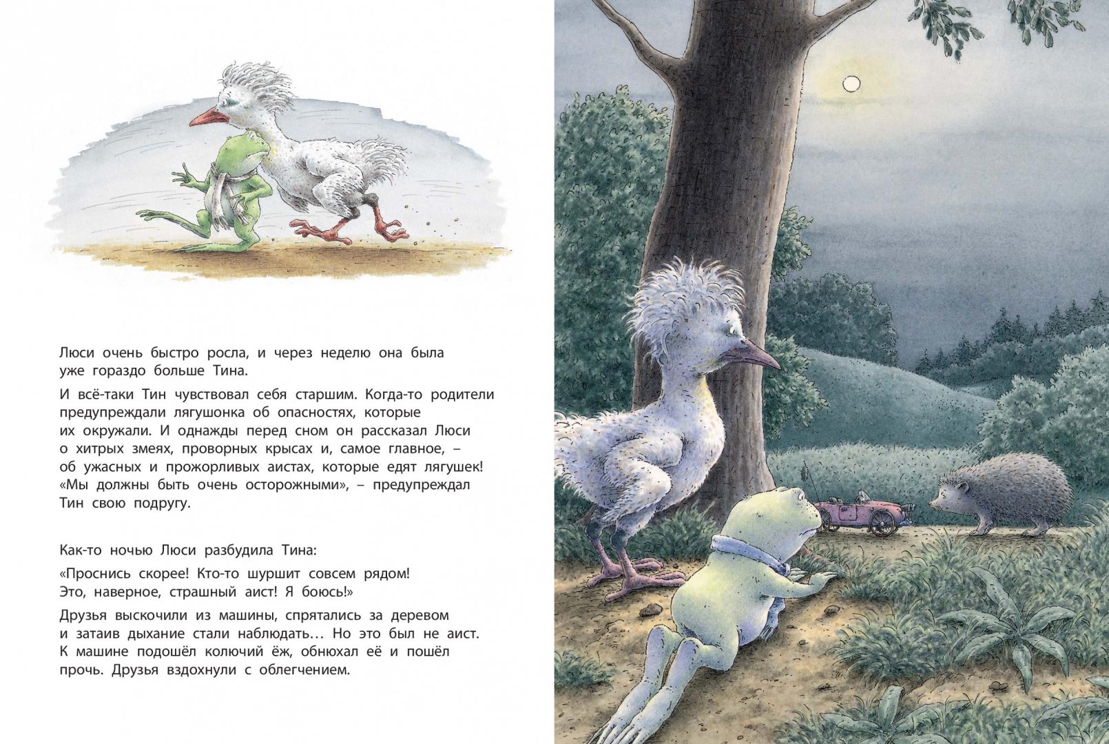 Иллюстрация 3 из 17 для Мой маленький принц - Берни Бос | Лабиринт - книги. Источник: Лабиринт