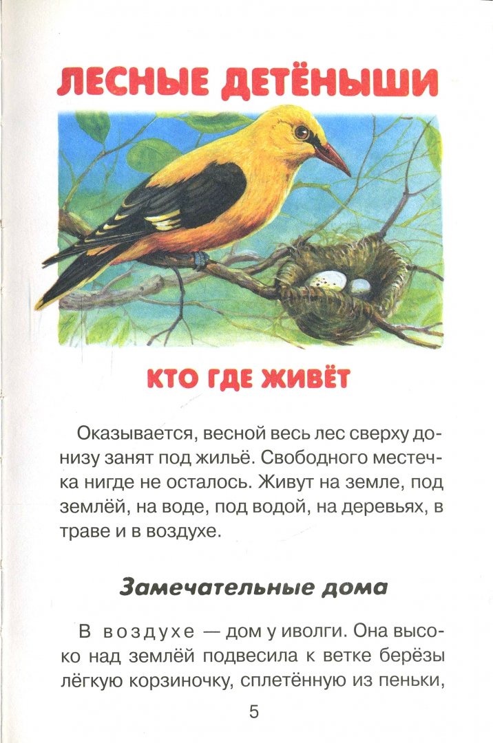 Иллюстрация 1 из 4 для Лесные детеныши - Виталий Бианки | Лабиринт - книги. Источник: Лабиринт
