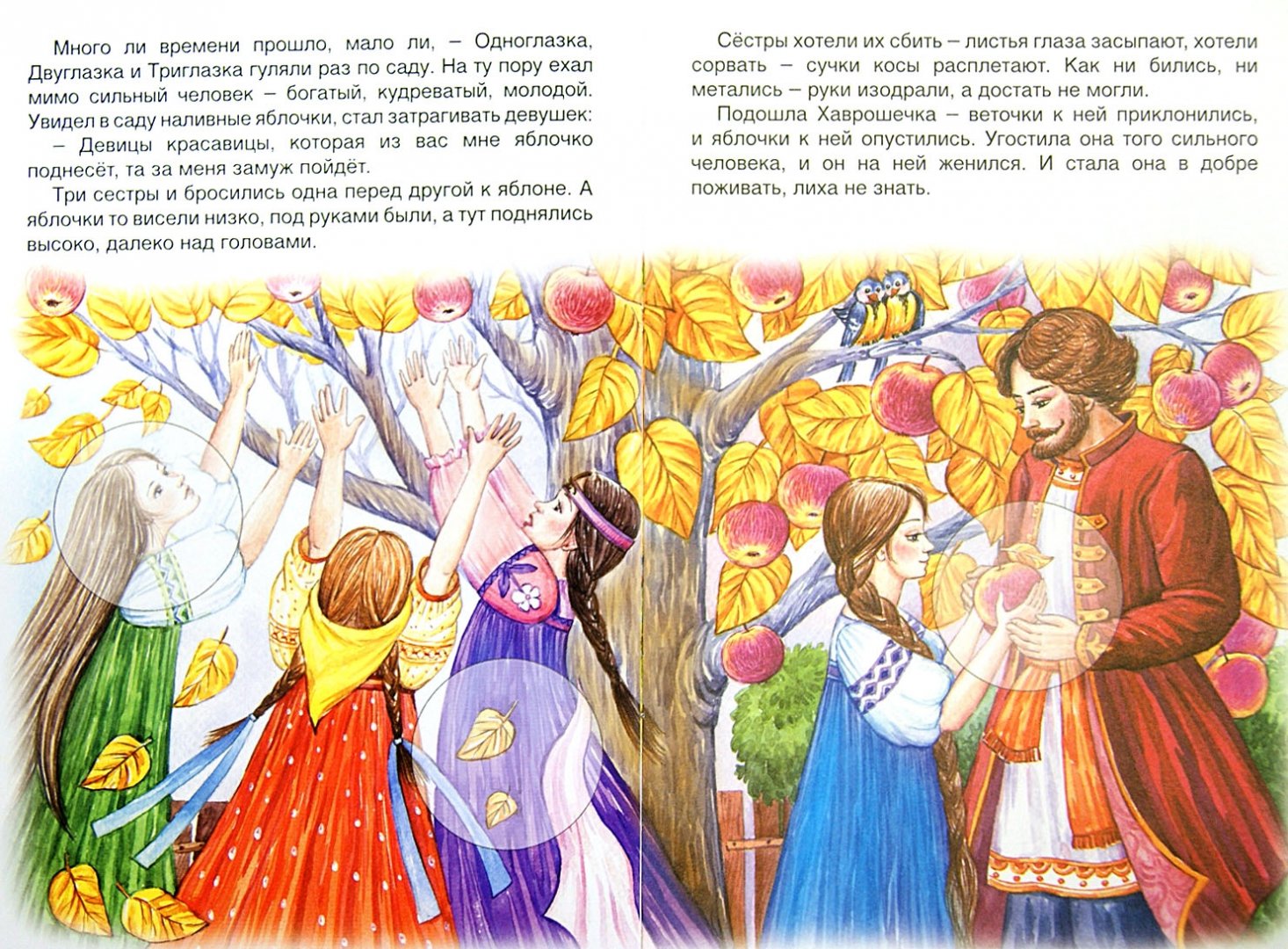 Иллюстрация 1 из 32 для Хаврошечка | Лабиринт - книги. Источник: Лабиринт