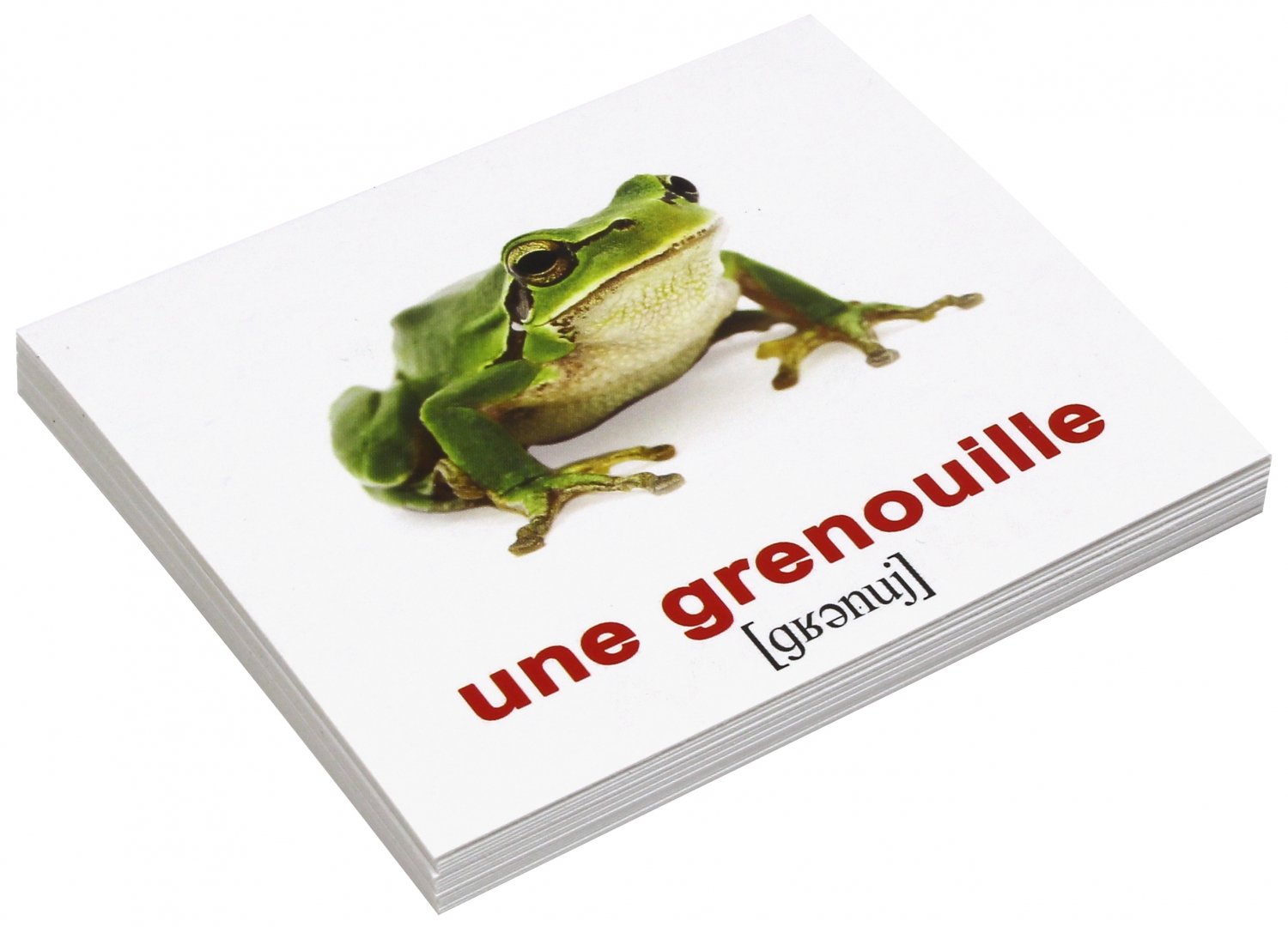 Иллюстрация 1 из 2 для Комплект карточек Мини-20 "Les animaix sauvages. Дикие животные" (французский язык) - Носова, Епанова | Лабиринт - книги. Источник: Лабиринт