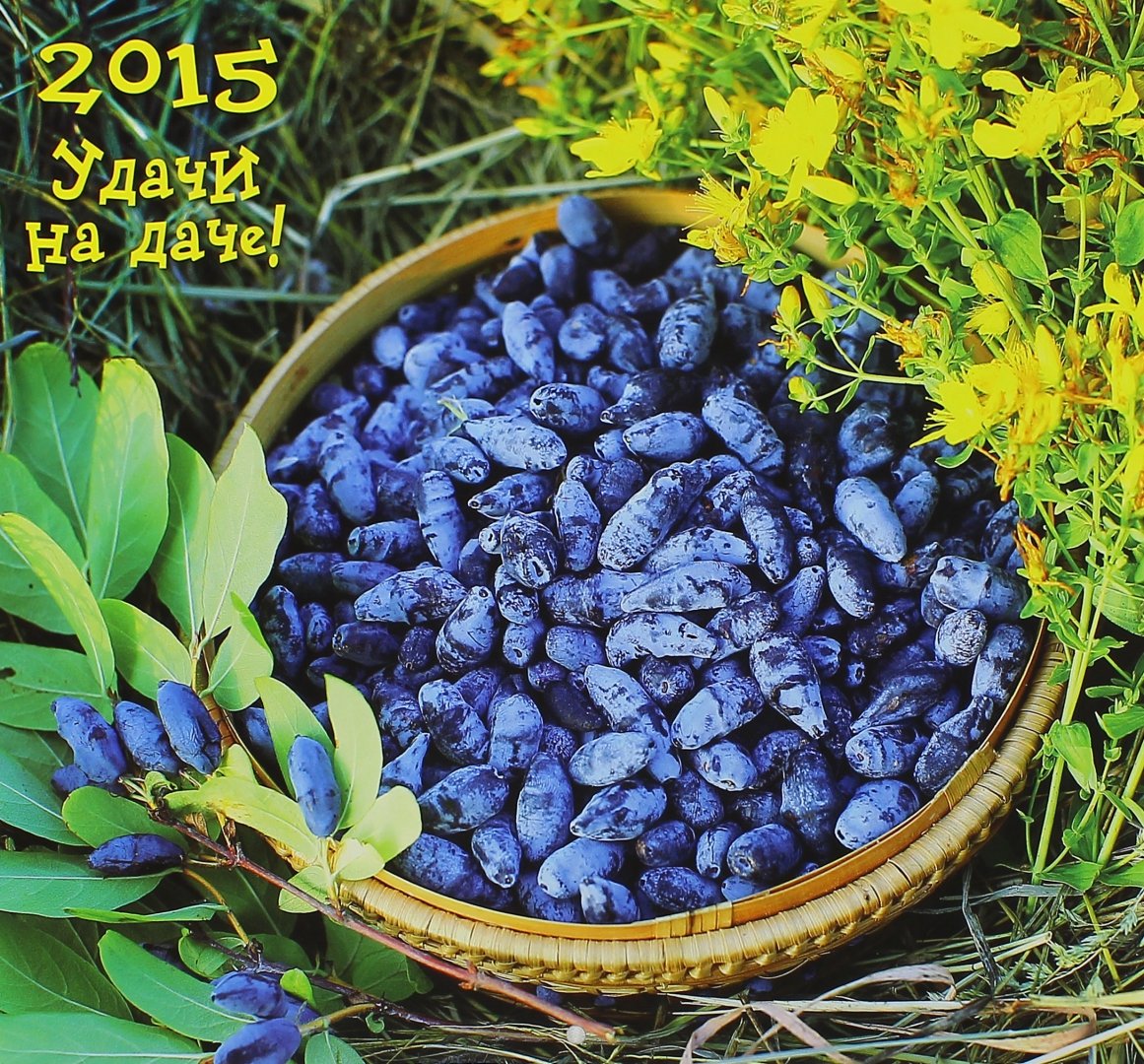 Иллюстрация 2 из 2 для Календарь 2015 "Удачи на даче" | Лабиринт - сувениры. Источник: Лабиринт