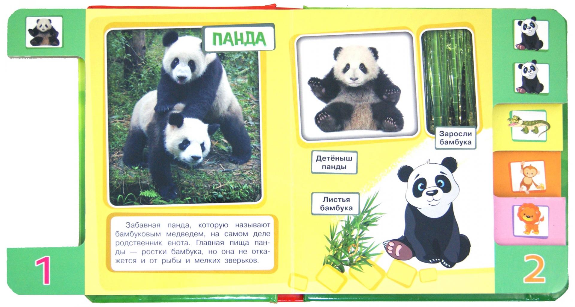 Иллюстрация 1 из 7 для Веселый зоопарк | Лабиринт - книги. Источник: Лабиринт